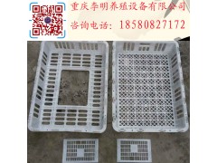 雞用運輸籠 成雞周轉籠 塑料雞籠 養殖運輸籠