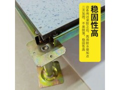 供應(yīng)防靜電地板