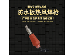 防水板熱風(fēng)焊槍 便攜式塑料電熱風(fēng)焊槍 可調(diào)溫土工膜電熱風(fēng)焊槍