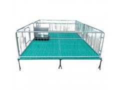 仔豬保育床 小豬仔雙體保育床生產廠家