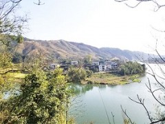 浙江茶山加盟，湖州轉(zhuǎn)運(yùn)珍茶，浙江茶山租賃，浙江眾扶農(nóng)業(yè)