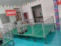 母豬產(chǎn)床雙體產(chǎn)床小豬復(fù)合保溫箱廠家