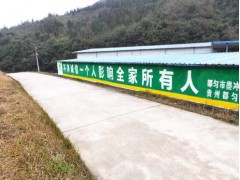 阜陽墻體廣告圖片大全 墻體噴彩繪一直致力于墻面設(shè)計(jì)