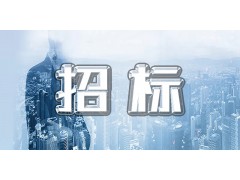 【公示】上海數(shù)字產(chǎn)業(yè)發(fā)展有限公司業(yè)務(wù)管理平臺(tái)開(kāi)發(fā)升級(jí)項(xiàng)目招標(biāo)