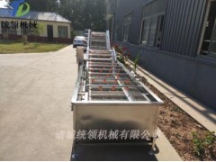 果蔬氣泡清洗機 中藥材清洗機