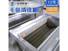 毛輥去泥去皮清洗機 生姜紅薯土豆去皮清洗機