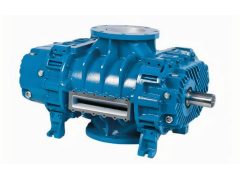 意大利魯布斯奇Robuschi—RB-DV真空泵