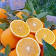 果農直供臍橙，江西贛州安遠臍橙，贛南臍橙