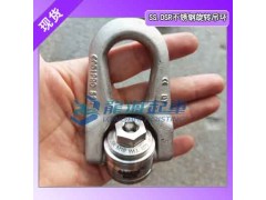 CODIPRO旋轉(zhuǎn)吊環(huán)原裝進口,旋轉(zhuǎn)吊環(huán)載荷0.1噸~3噸